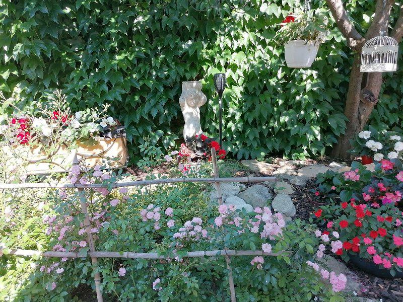 BBF65D07E3851492DAEF187C023FB33D