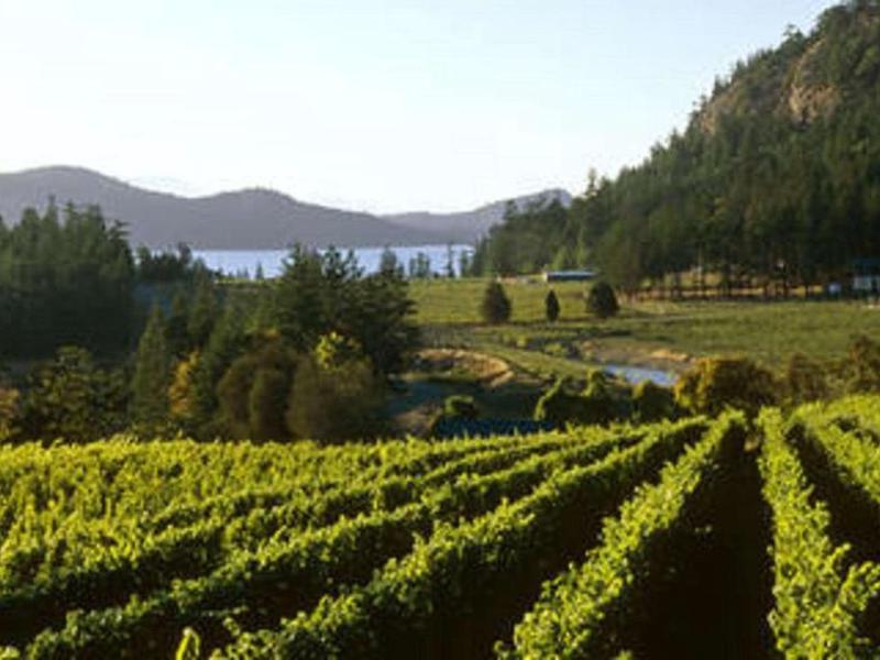 FB9747C35A930CC8A5C9B6C6EF9BF3C7