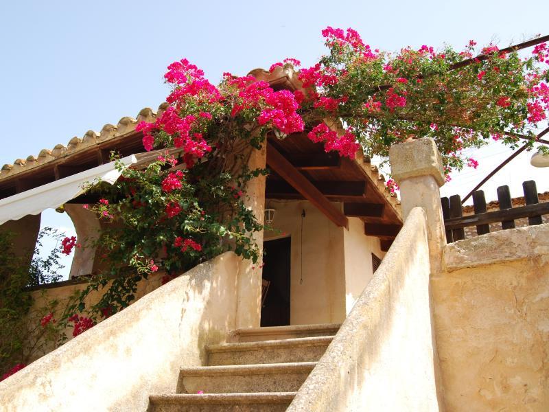 E1C11DEA1A662F9E1B1DCBA435E574C3