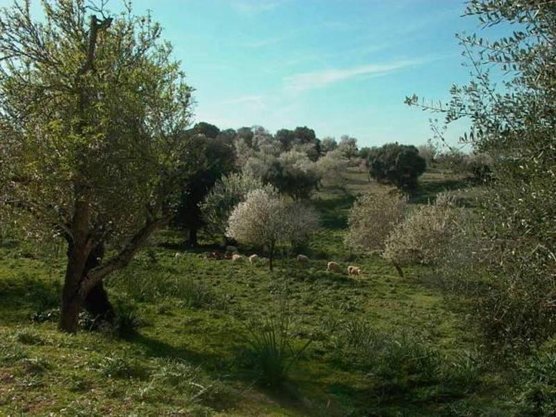 25BDBC2ED8F4A13B141C6A9A0D2E03A8