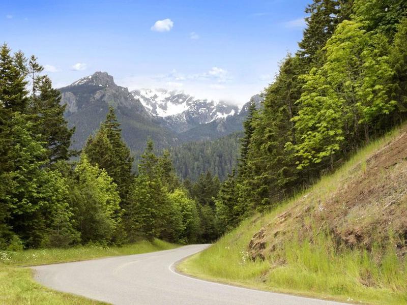 1EE328FDBFB76F1B52068461898EA232