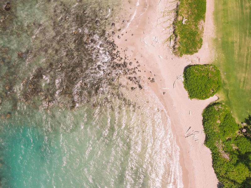 C46074313A9E858C9CB5267E707BE989