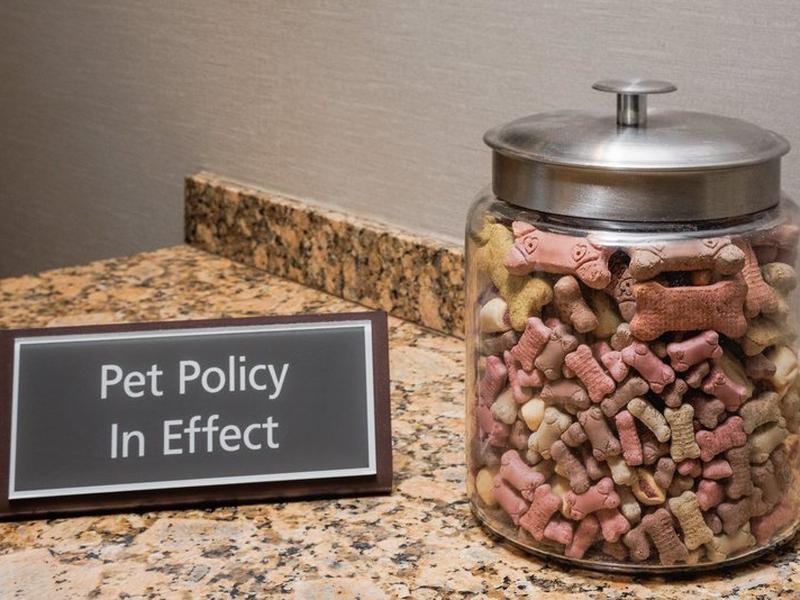 81D1CF08C7A8284E140D0B2153C077CB