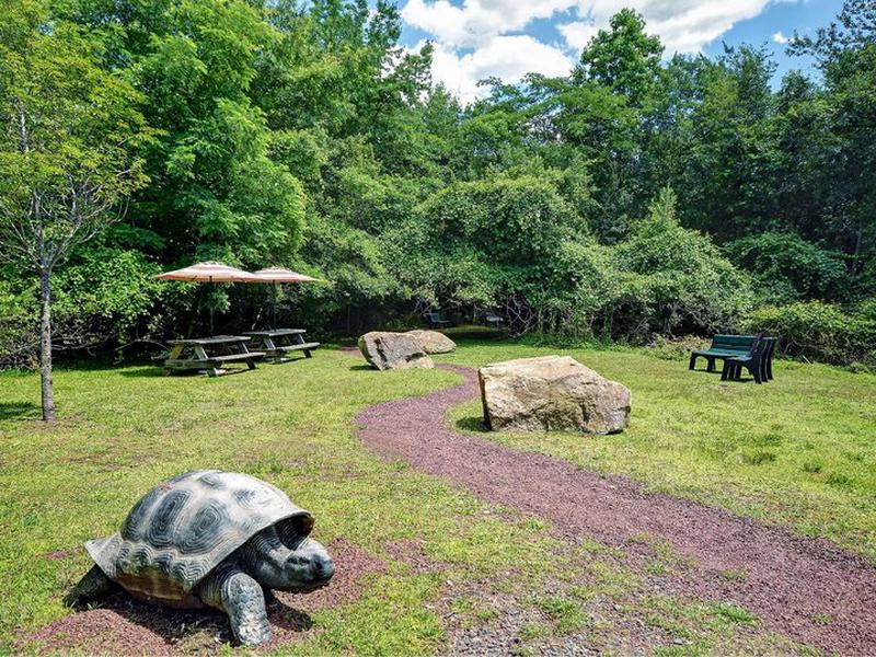 1C73FA0A446E4743AD64D8FF155CB722