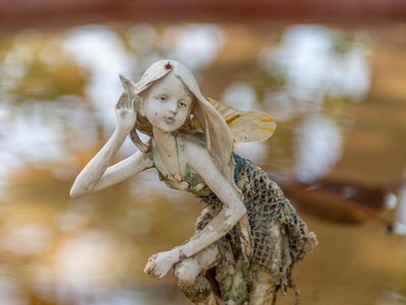 2EB65927A05DD58433691B2198310FB8