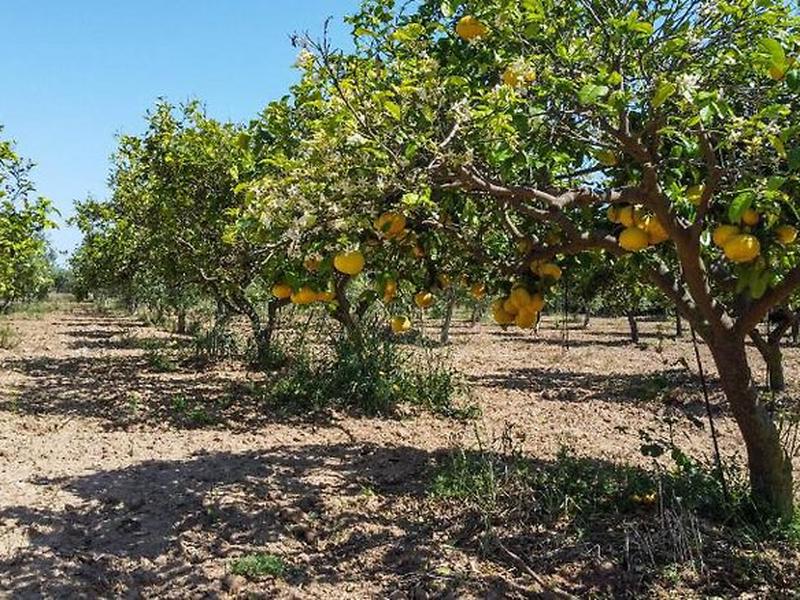 1654B3EFBACBDCC2000D0769605E4D3D