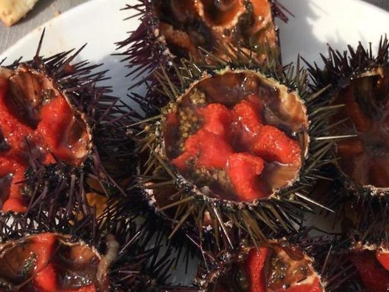 0BF75092A2E3D22D31CC5A040C62471A