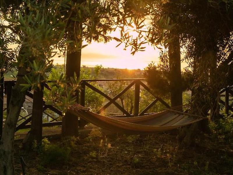 FCC2A3D5A03333E0C15B14A20BD4801D