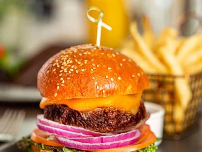 E870524AE6E16E61D8B76F309B5FDDA2