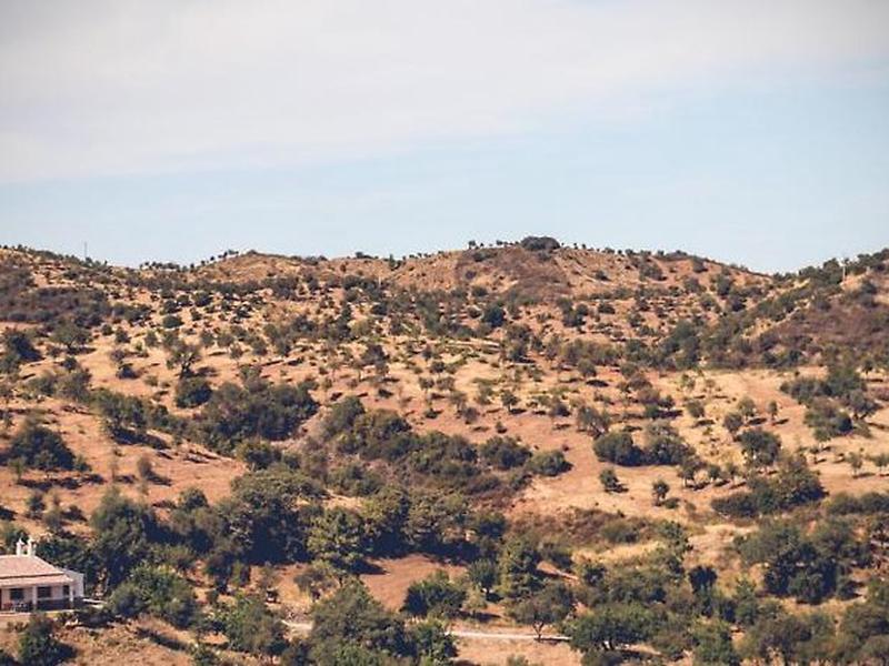 26CD5FD04511BA28D97711214AC15D26