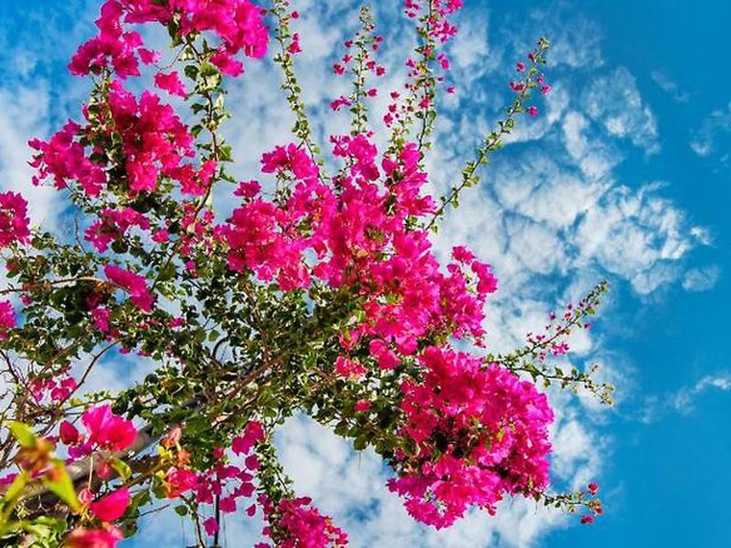 4E32E0C4B79DA8C979E3C114FCA3D1F7