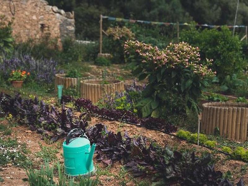 684E9376145A404828C2B5BAB8F64EFE