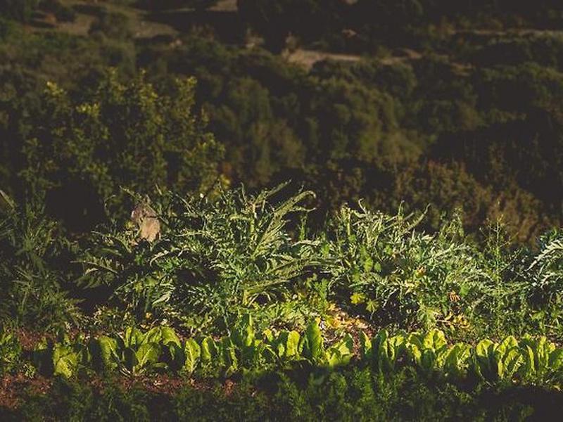 62E66F00B91E20CDA619E5A025A9E379