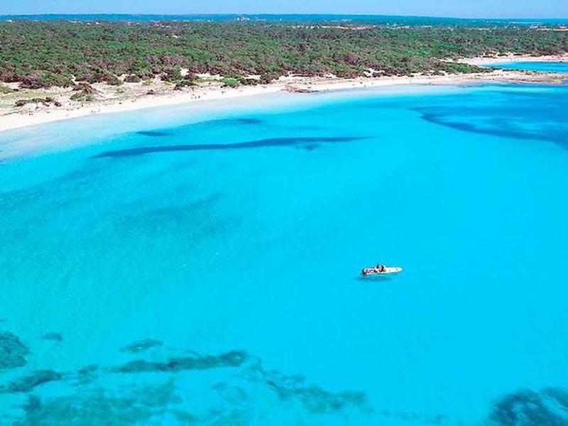 6D8D28449D8936040E44412CDDADD320