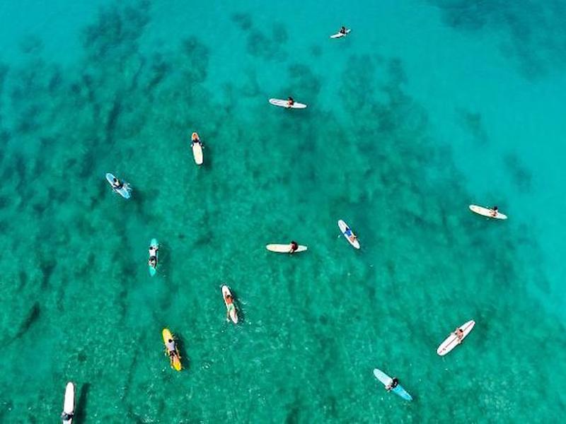 3988005375C09AD8EA7BCEAAF5274DE4