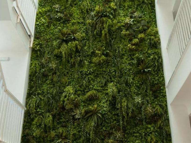 FE3355DF7778C8872CA7A7C69EB38CDD