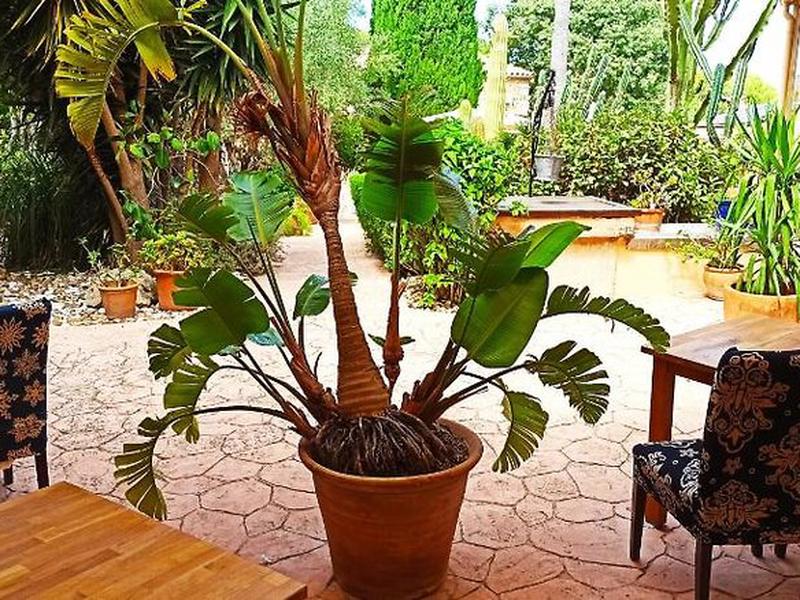 1DB530A873867174B565DB6F8DAE8BA0