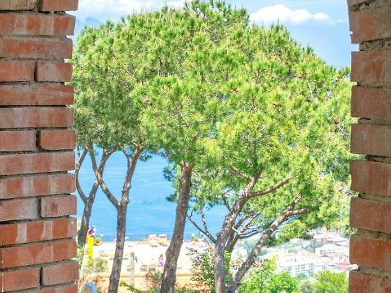 FAE7A803E486FE092578BAB00E569558