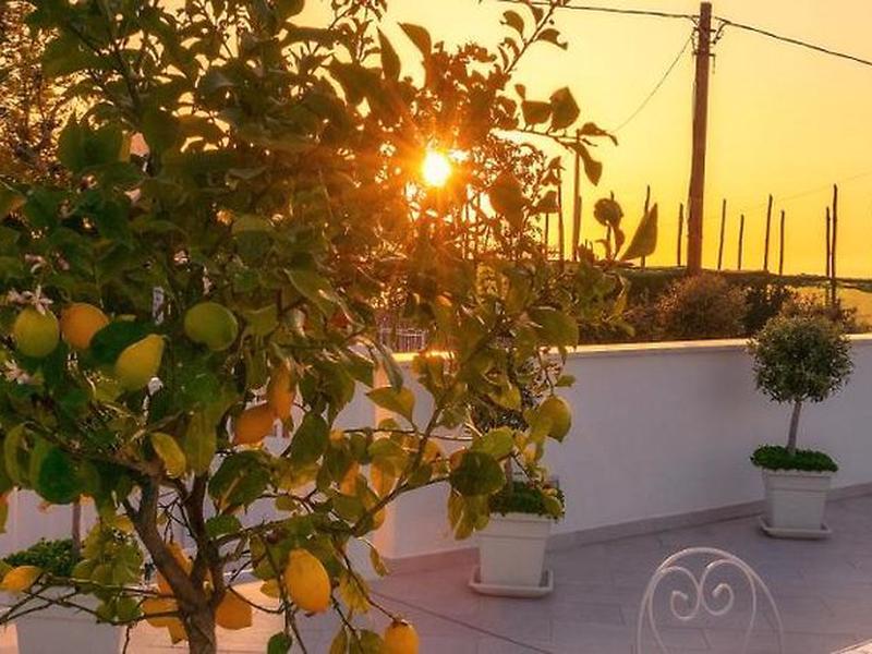 D35BB9E240B5CE1C72AD9A5A0FA86500