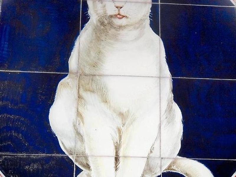 B6CDDD85AB05F8FEAD9E4F3E597210B8