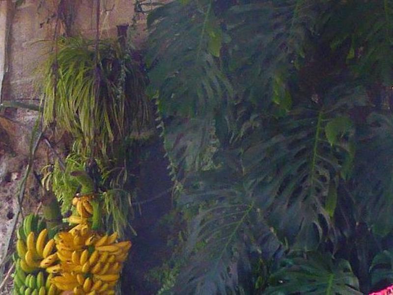 A893A02D7804E4AC7438610268D94BB3