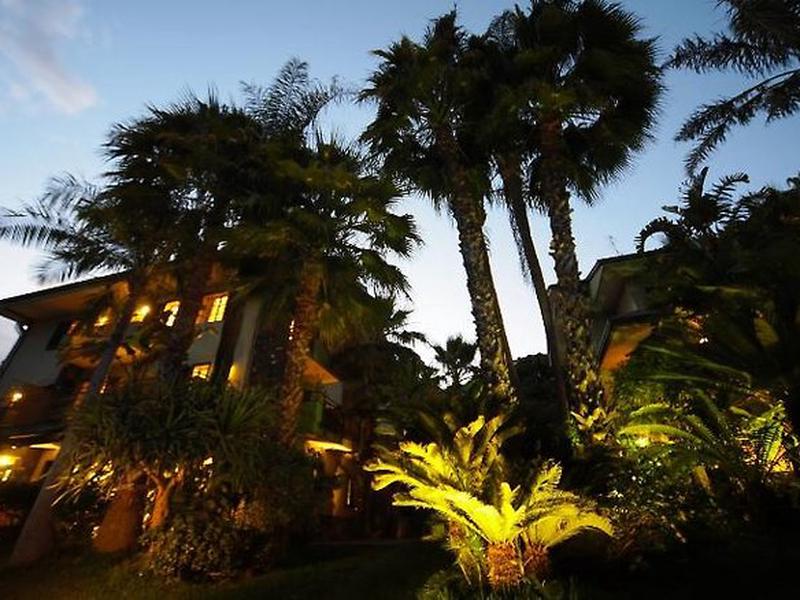 CA4DC5DDB38A2D275E7B20F82F0DBB51