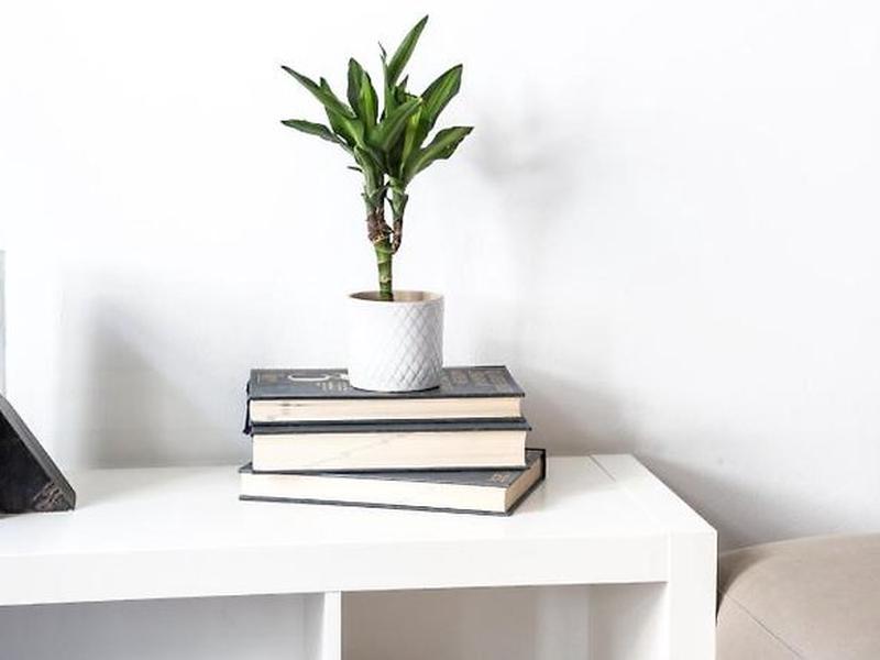 20C1F4D62C4A88652C9AAA9A407350AB