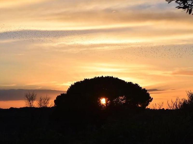 CE1013BCFA5A3A3B7D981F11C9A631BA