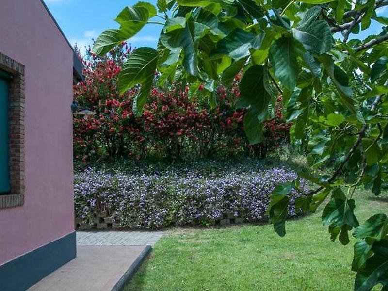 C3FBA93A2C1FC9EFD4A2D3DA6A523498