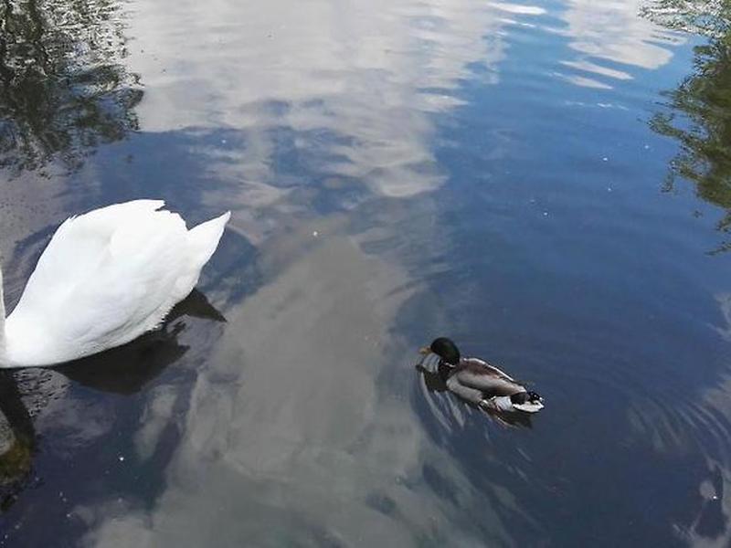 C16AB167ED9DC02C47395D5A62078D3F