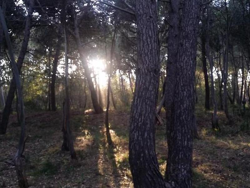 60CF1DFCDE806DD49C8F02AFCE3E18F7