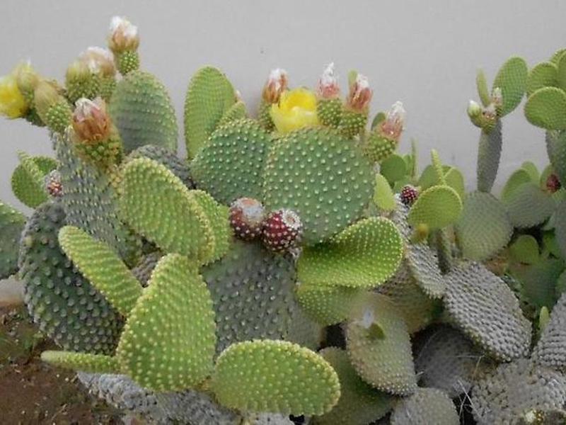 83B20AC82D11EC5BC53F4EE93C4629D4