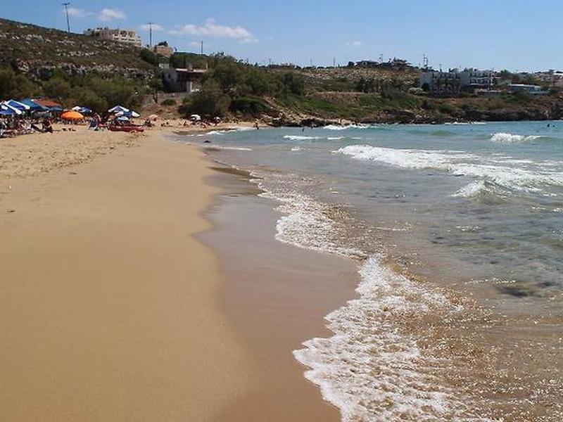 4DE8C087AB8774721430A62FA8CF8CE7