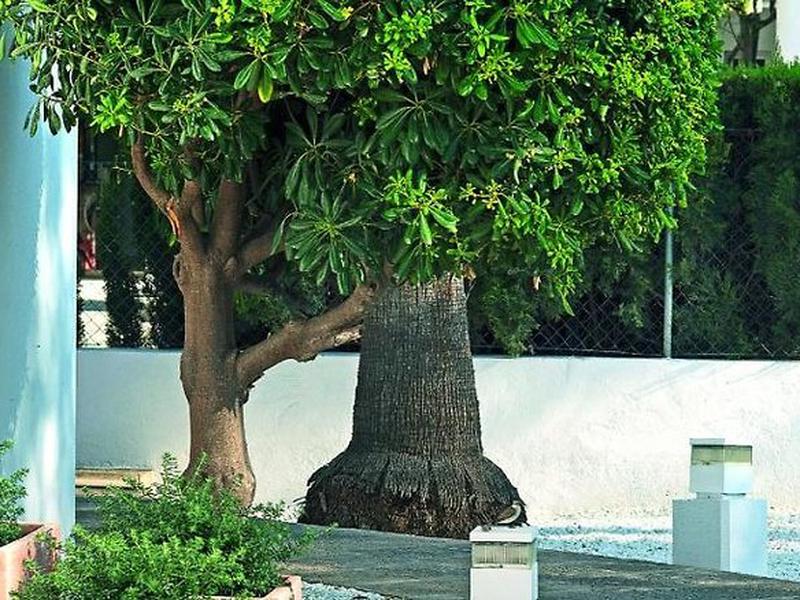 8FF841C03EE2A8246933C64B7FDE7618