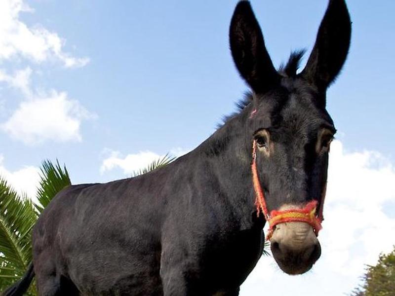 E5EB63989EC7BDF502B6F7BF220F5281