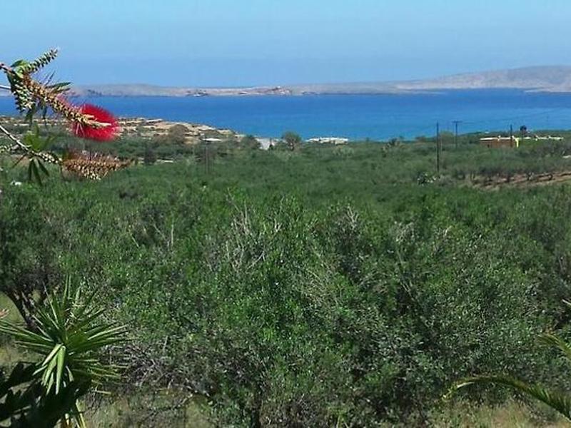 8CCFF76F1C63E39D8DF2D2E93FE95655