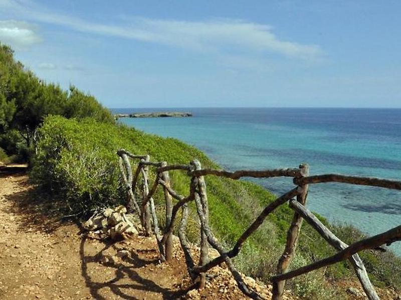 78AB38A3975AE8E21F5DEAA5DDBB3F49