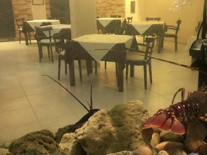 1D4B51FD56DFCB10892EDE6F7E7E3A74