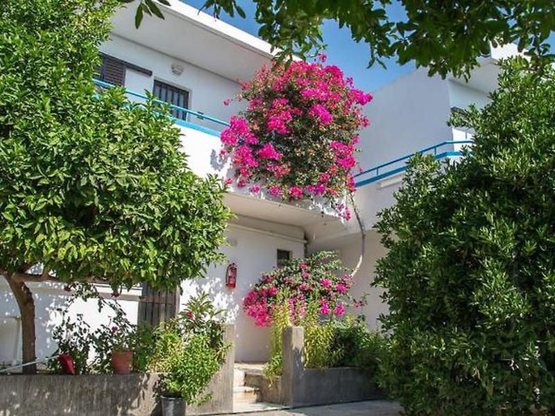 ED046C3C958E892A5B4681FC89AC55C2