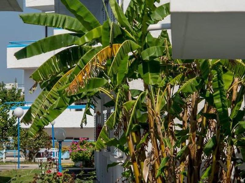 D90598161A916BEE9AE1C63F6B84D686