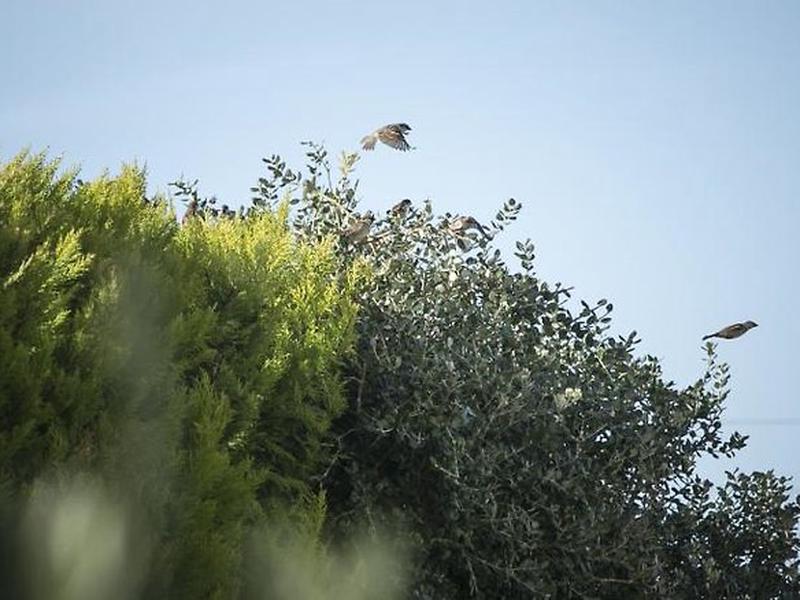 9BB5860C5E0E0A377CC13E44E2FE1CC8