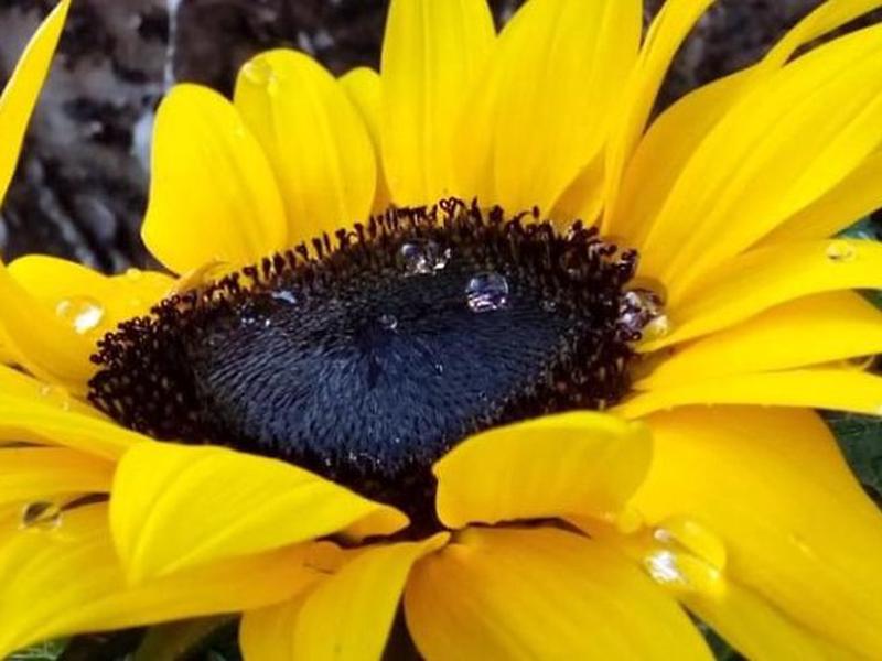 20AF5559F096EEBA9D63E210D0792FFB