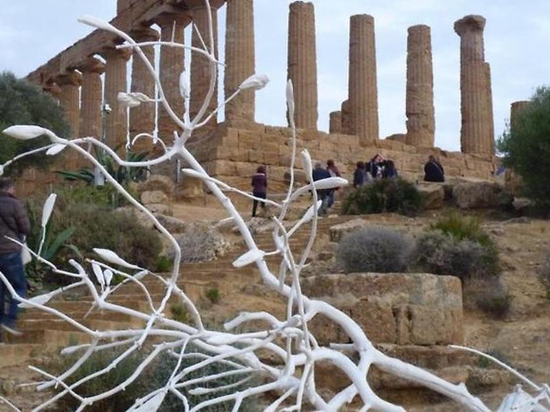 0858D5267BAB20B679FC8BBA6BC6F9DF