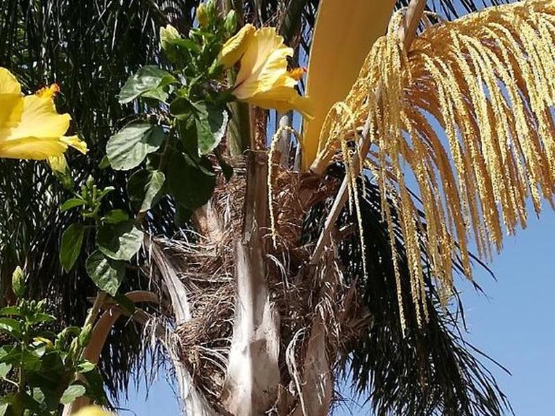 69668A8CCF83E14E4E690A2787D65EC6