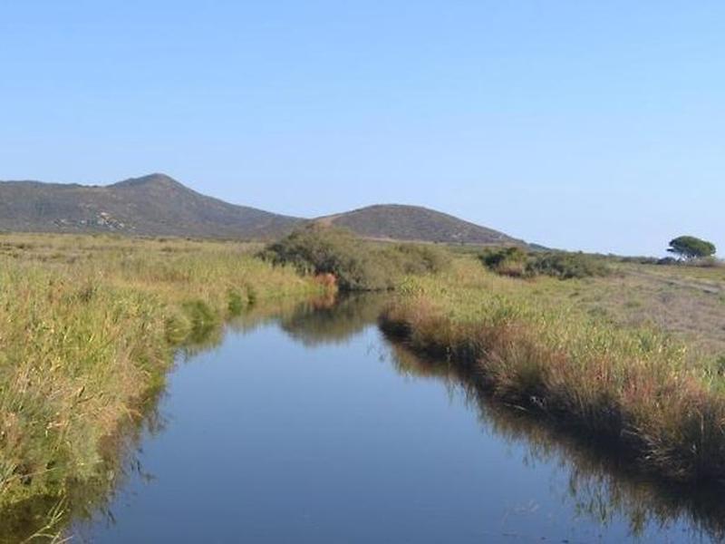 9D2458AC07857649D09170E4D45FABF9