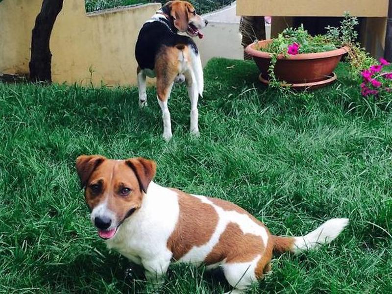 CA6A001962C4FF60D8C430F66FD5A9F9