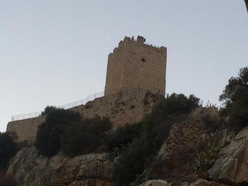 A98CEA8E12B855C9B025749D89956A57