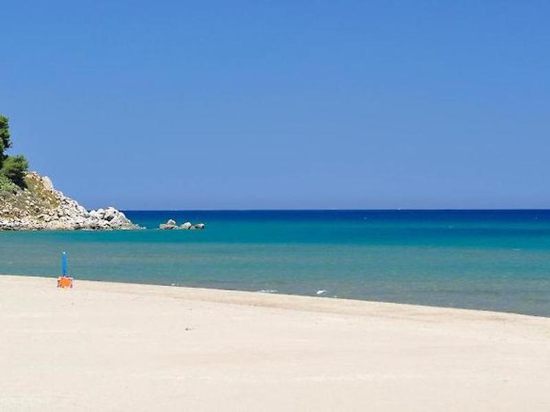 5C8321E8E54A48EC36A323FEDD395C91