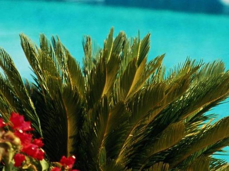 9703C41E1F01C9128AE6FC572AC1B313