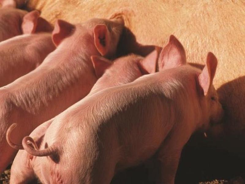 F1DDF29C4EB359AC47F30D47230B98A0